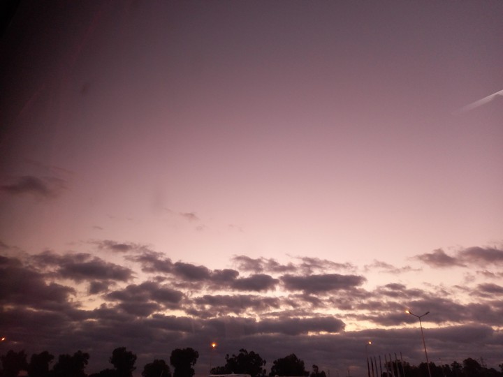 morning
