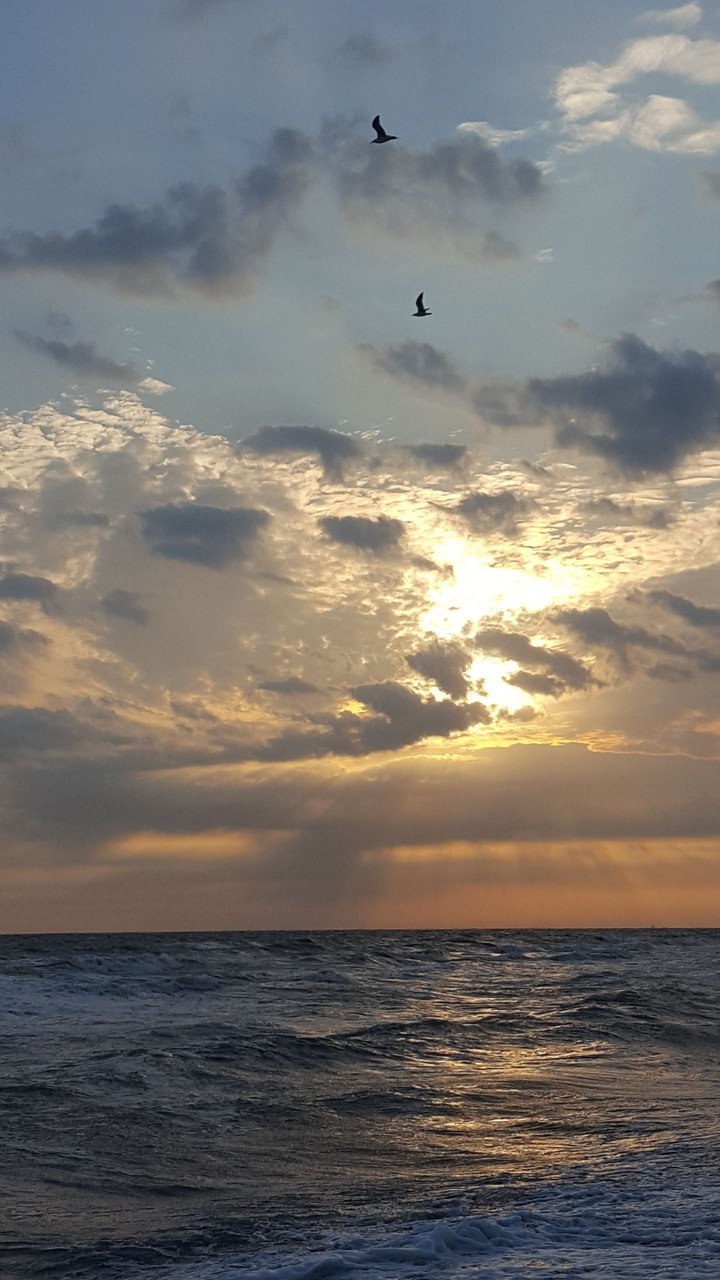 Sea