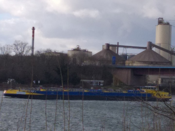Heute am Rhein