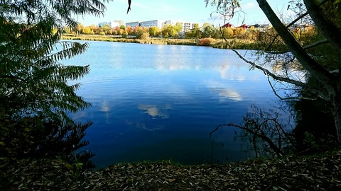 sea of silence