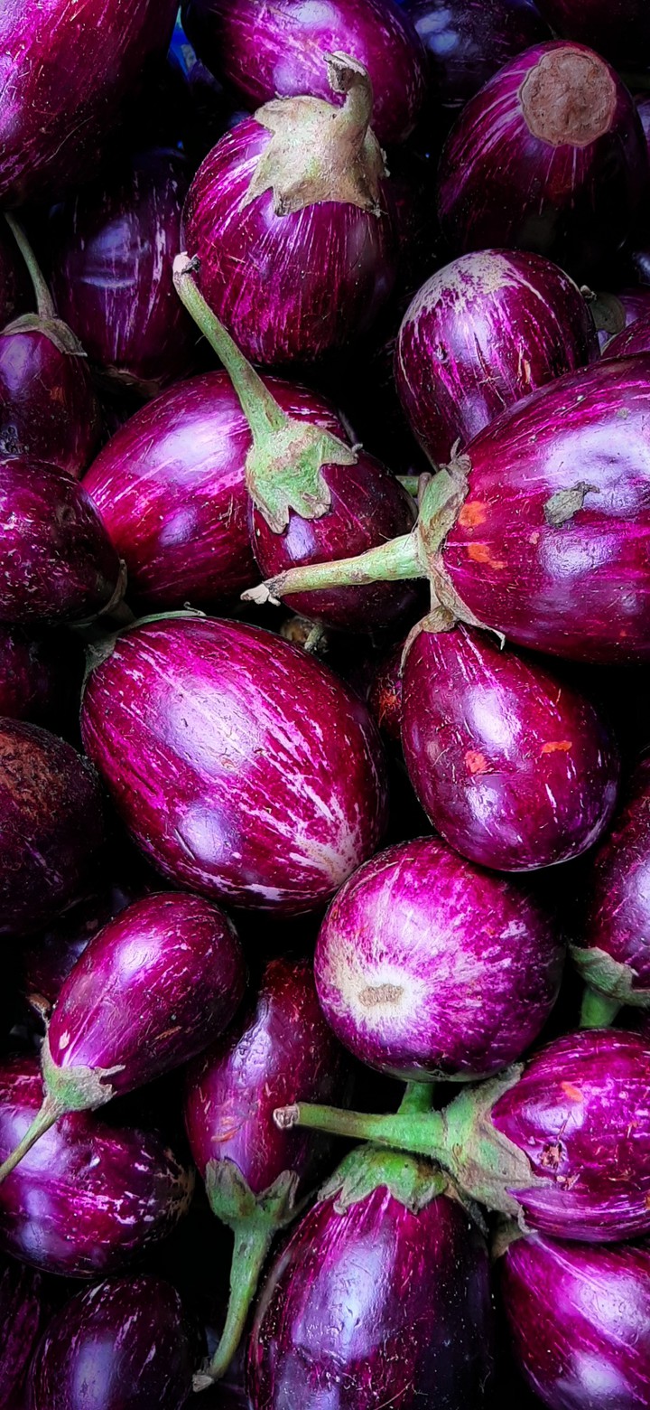 vegetable