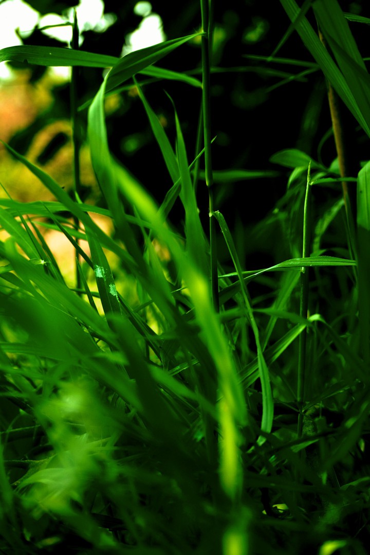 green