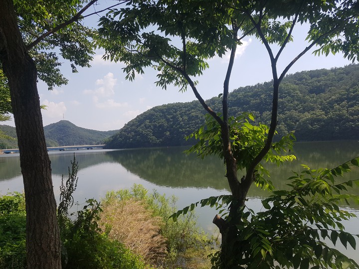 풍경화