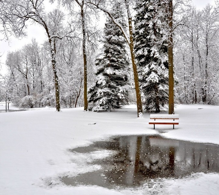winter