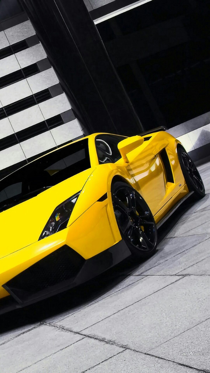 Lamborghini