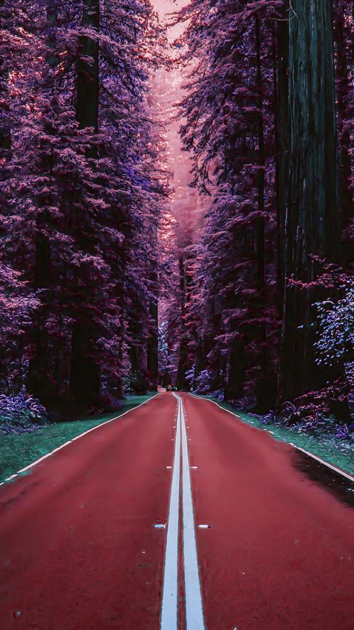 Road To Heaven