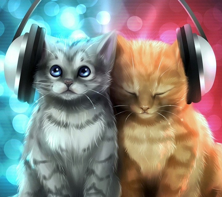 Kittens