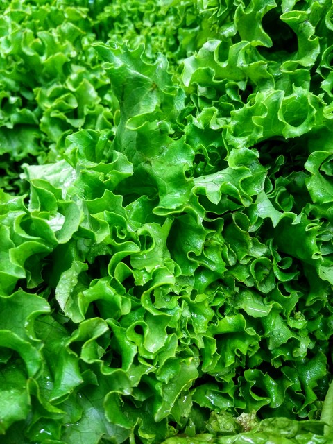 sfondi herb, produce