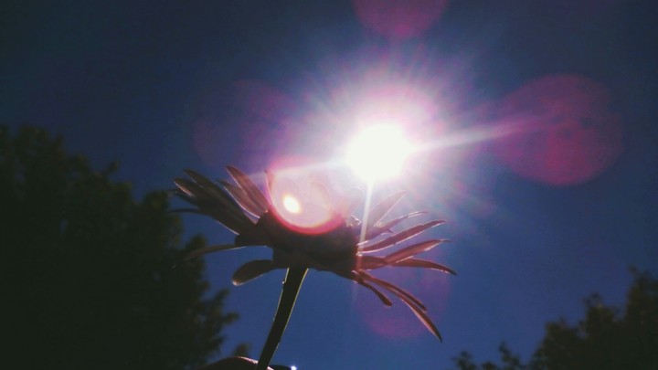 ☀