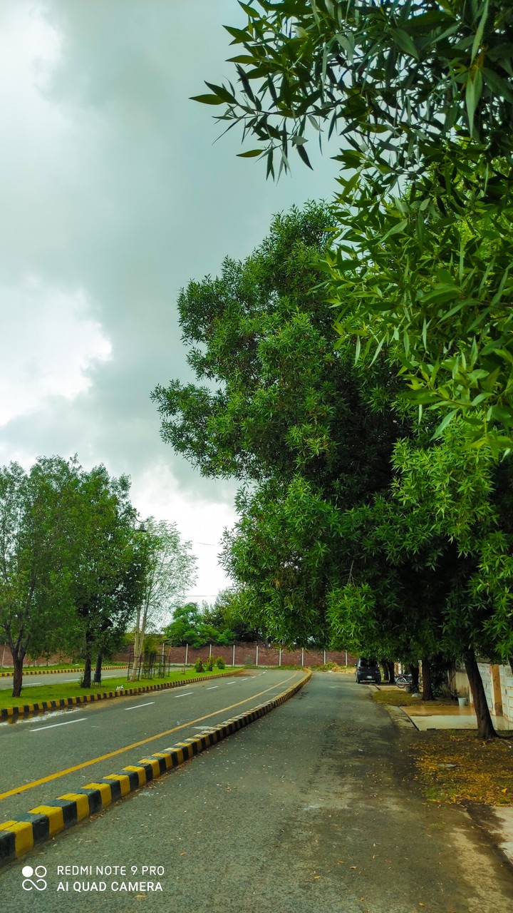 Greenery