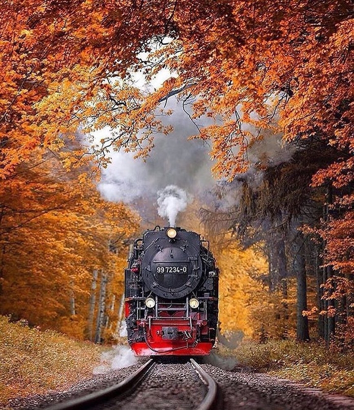 train