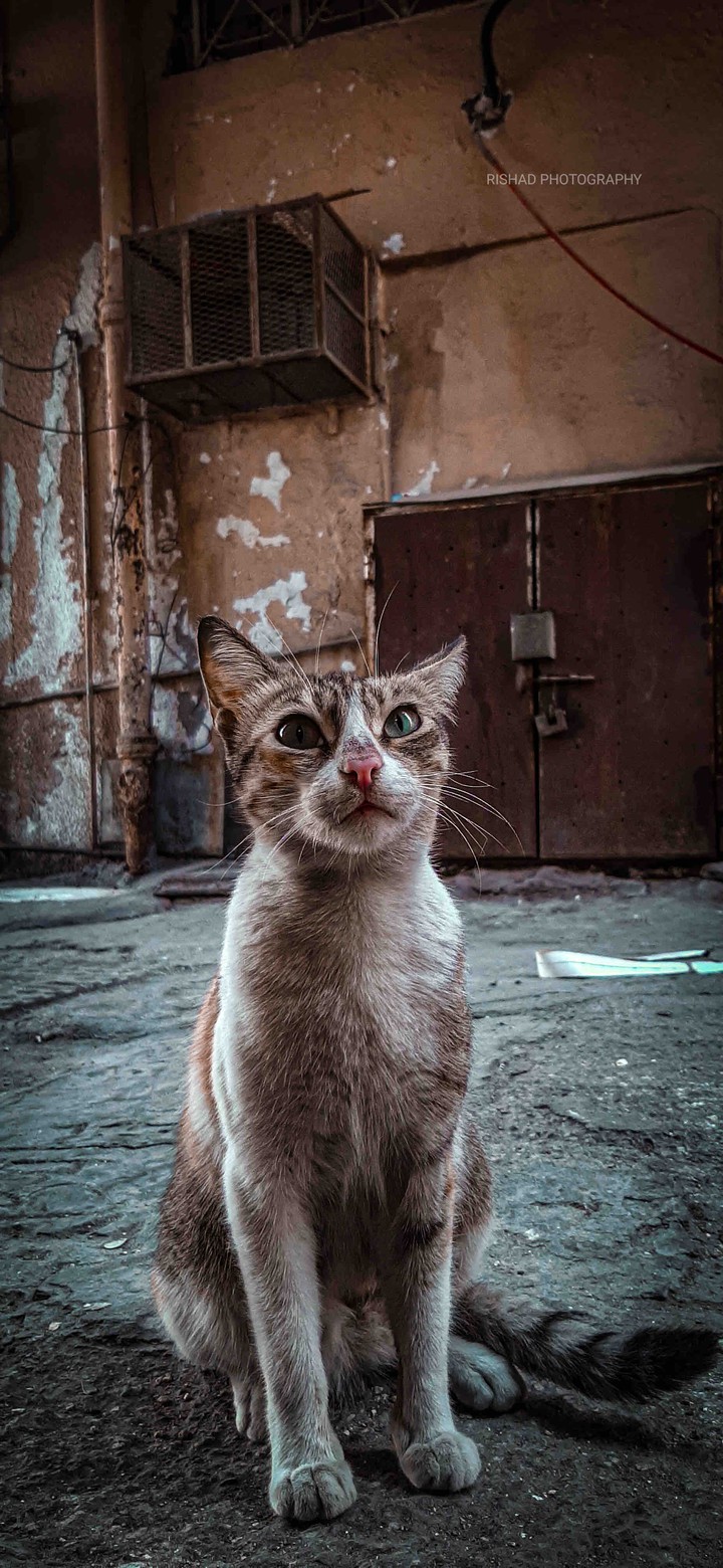 smile plz