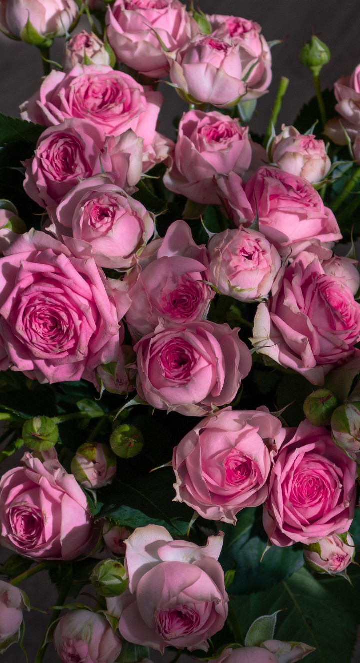roses