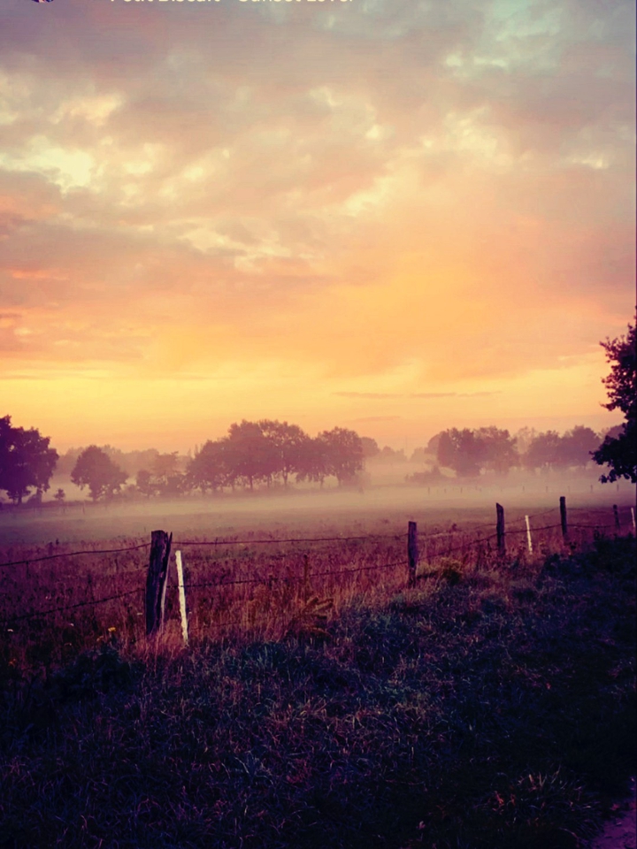 fog