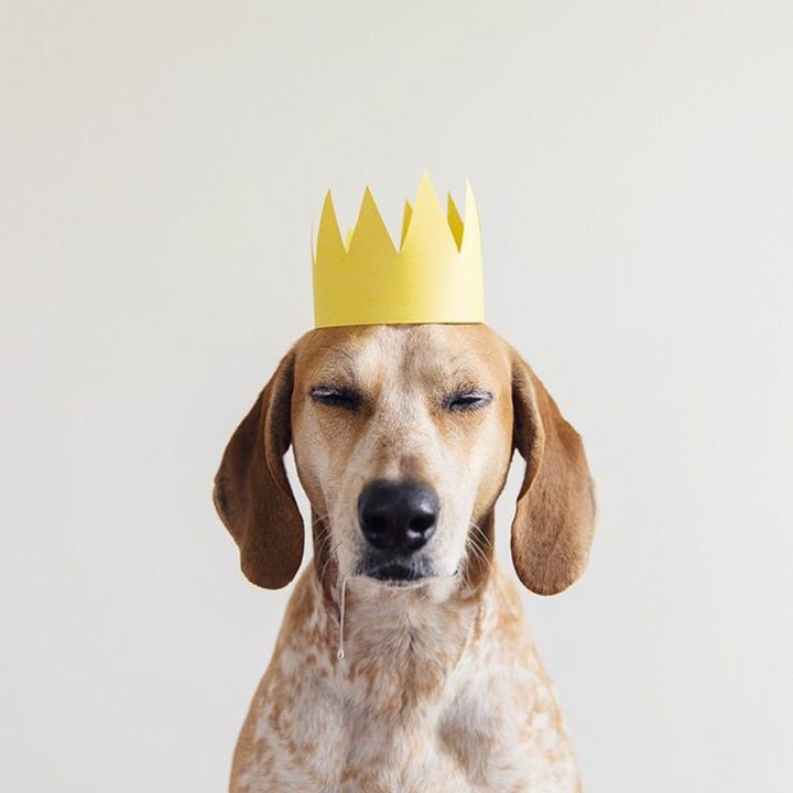 King