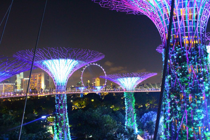 Garden By the Bay, Singapore,