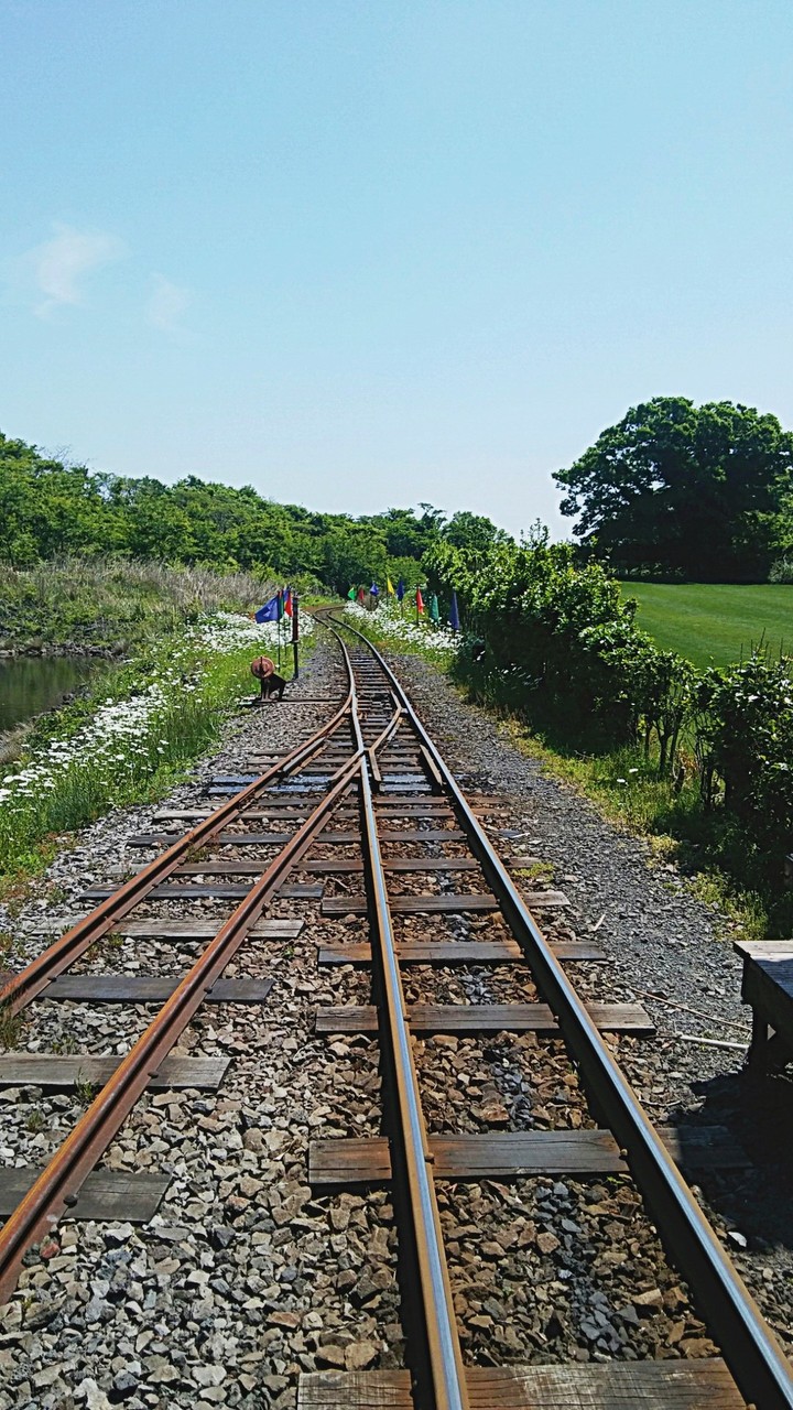 trainload