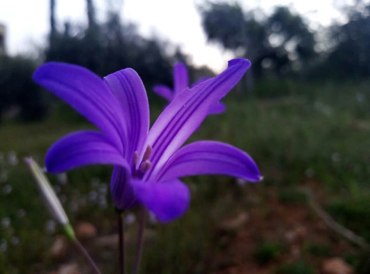 my photo ❤