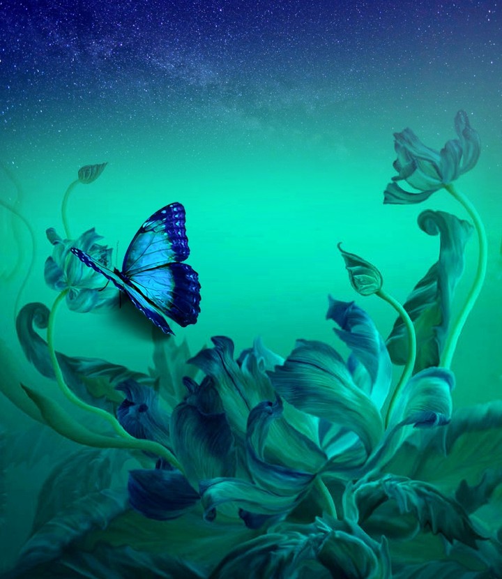 butterfly