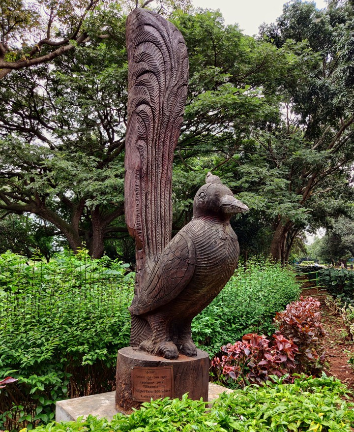 Birds Artwork ❤️❤️