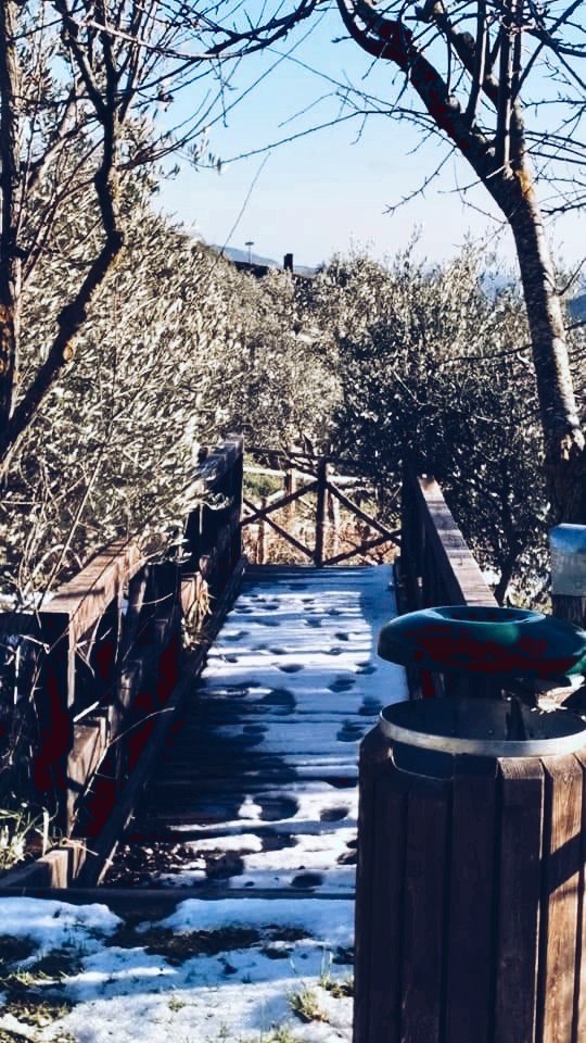 dove mi porta il ponte