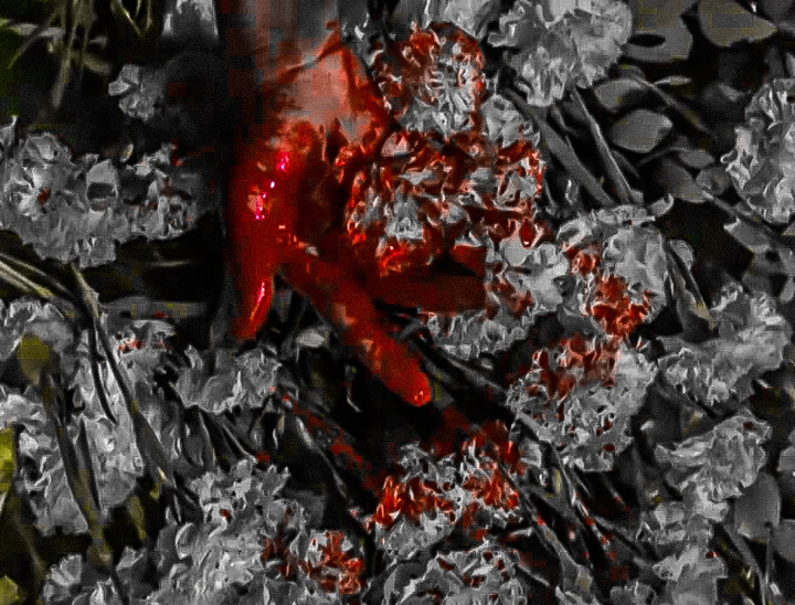 color