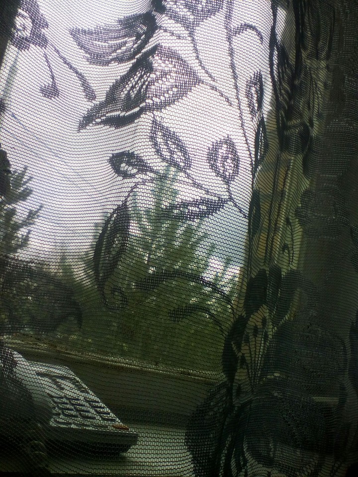 Утро