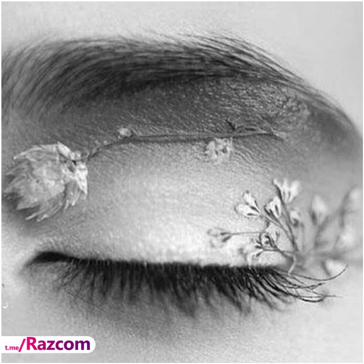 your eye is my life