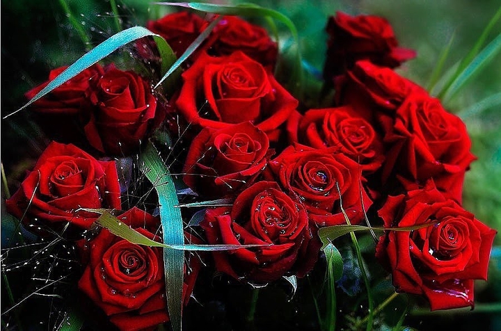 красота #розы#цветы
