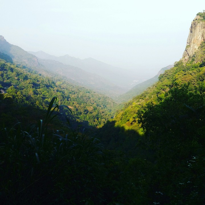 queen of hills ooty