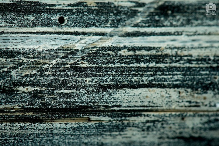 Nature Patterns