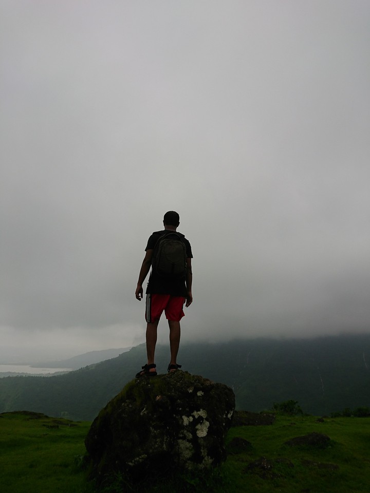 The view