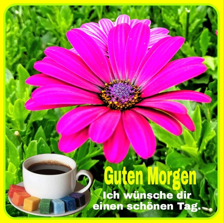 Ich wünsche dir einen wunderschönen Tag
