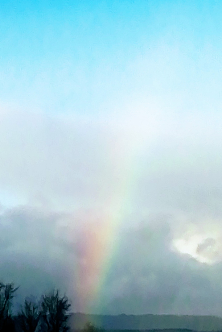 Regenbogen.....