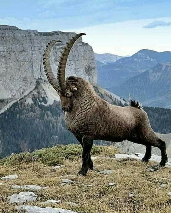 ?