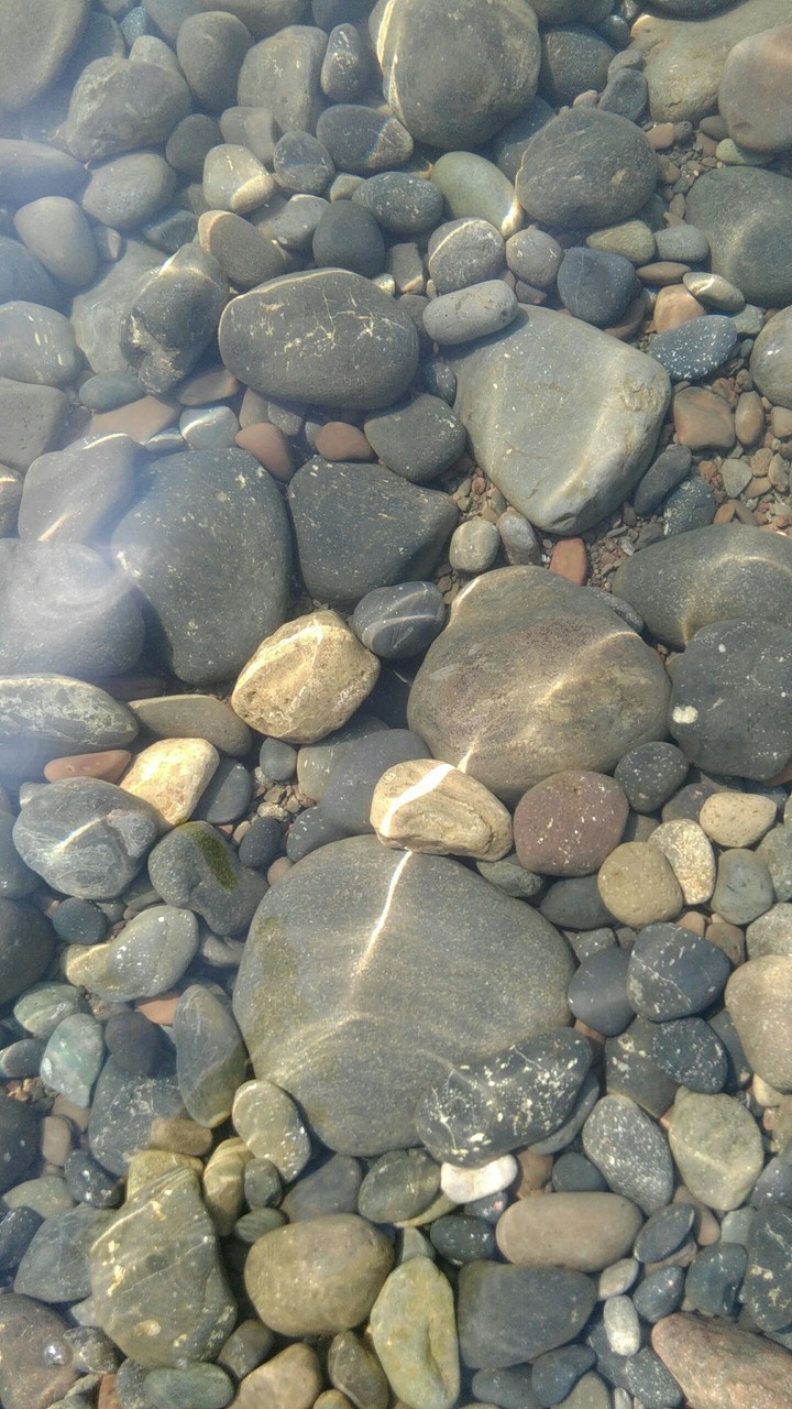 Sea