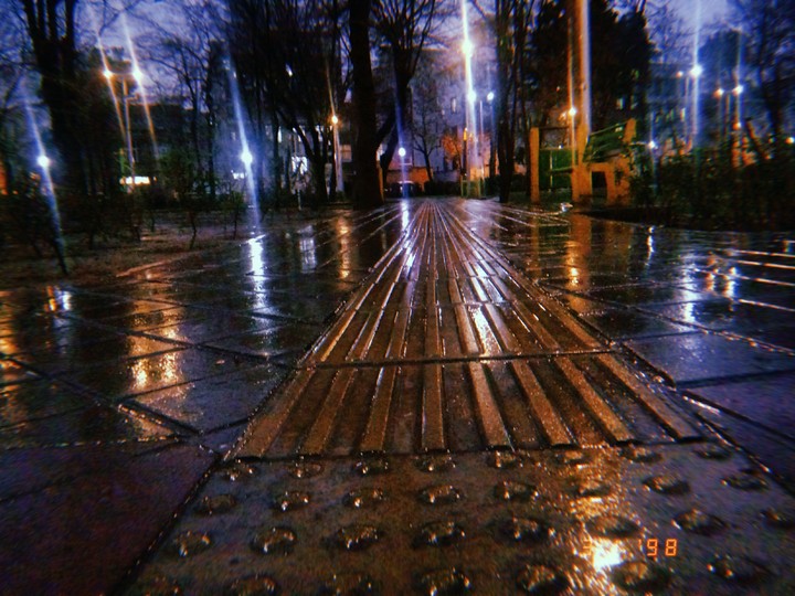 Haft chenar night