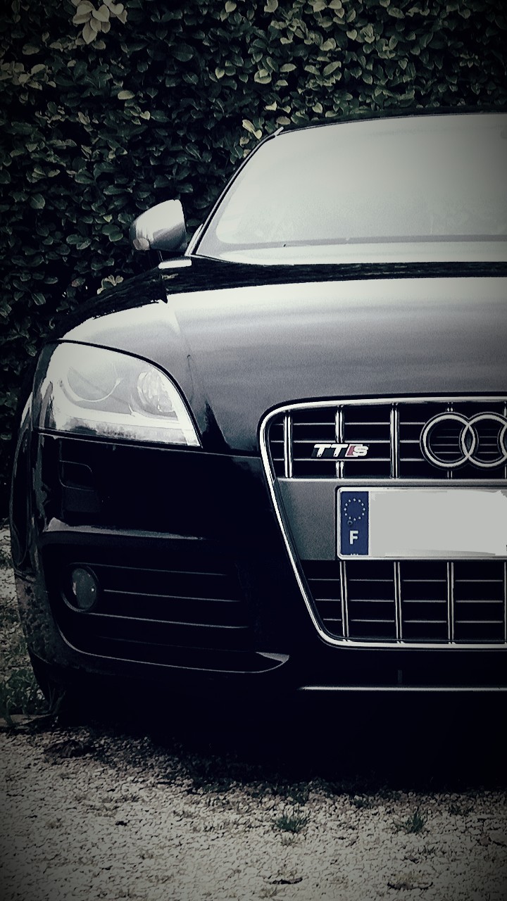 Auditt
