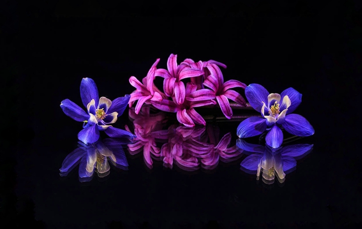 reflection