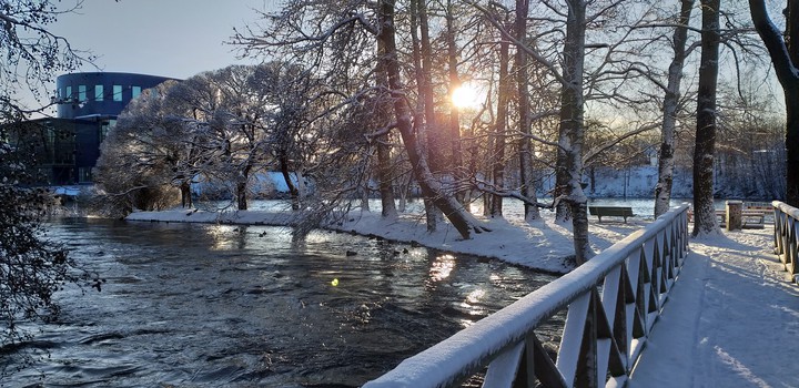 sunshine snow