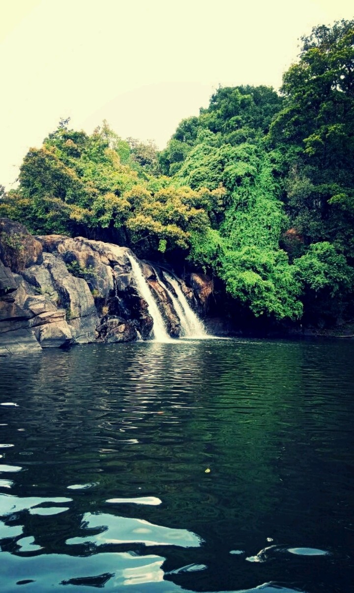 coorg