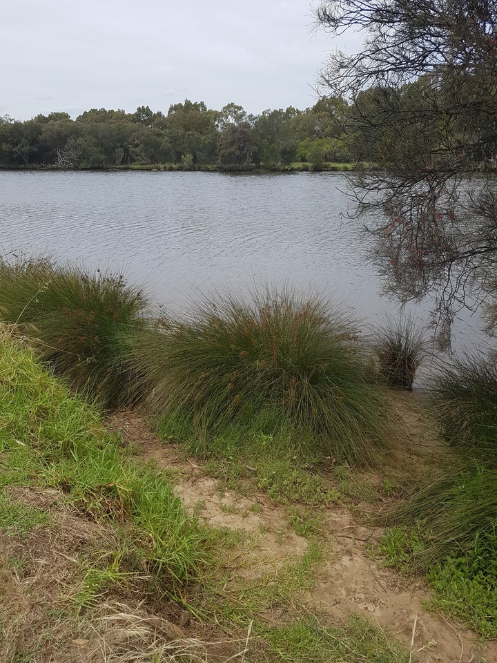 By the River