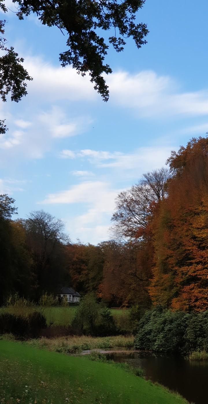 Autumn Cottage