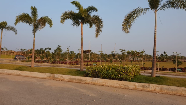 greenery