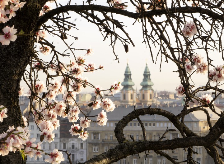 Budapest