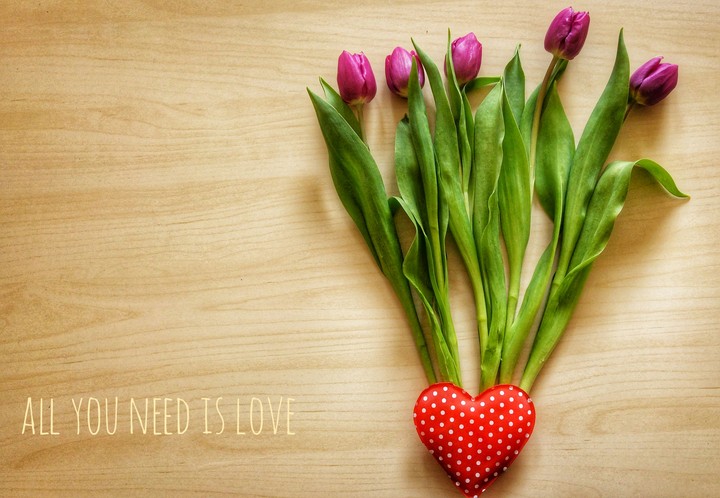 all you need is love