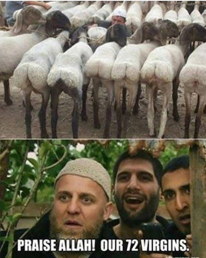 #ISLAMIC MEMES @72 VIRGINHOTSPOT JUNE-NO-NUT PARADISE !!
