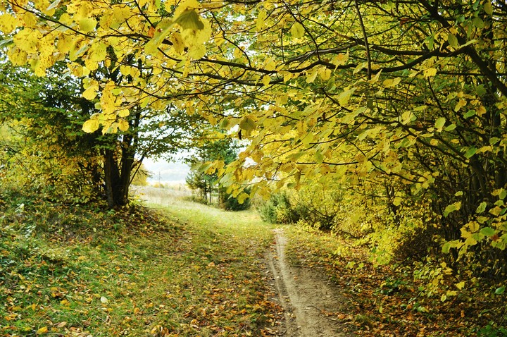 Autumn