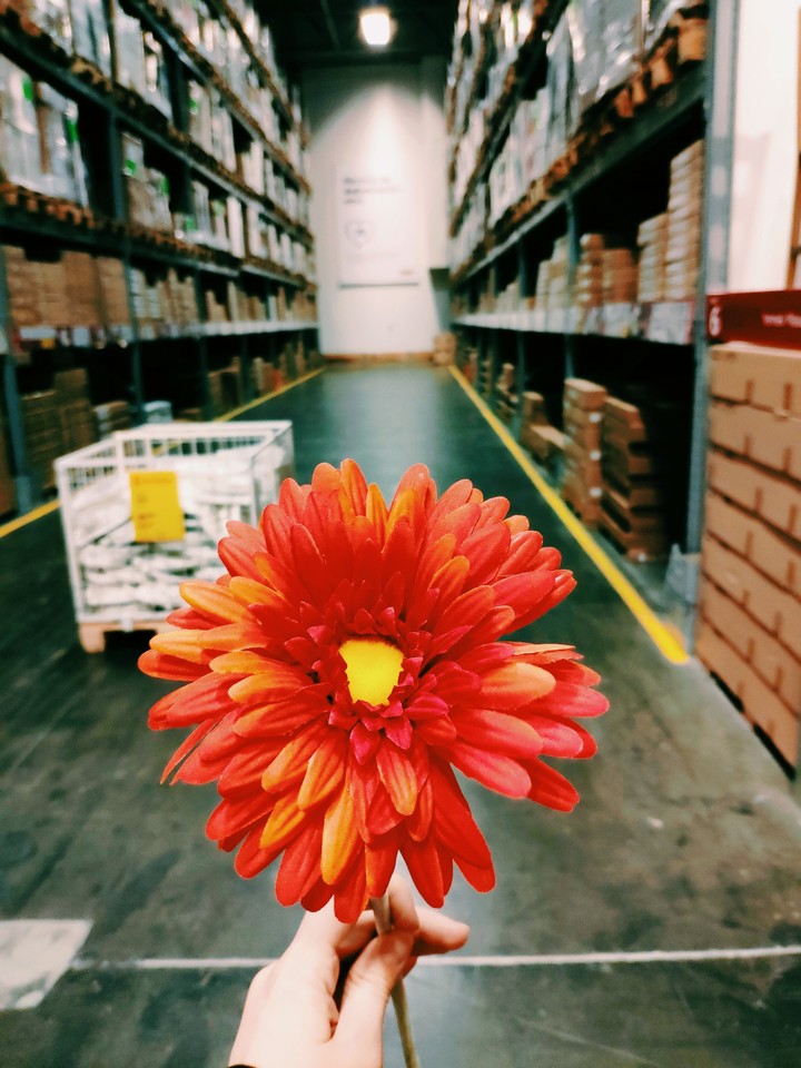 ikea