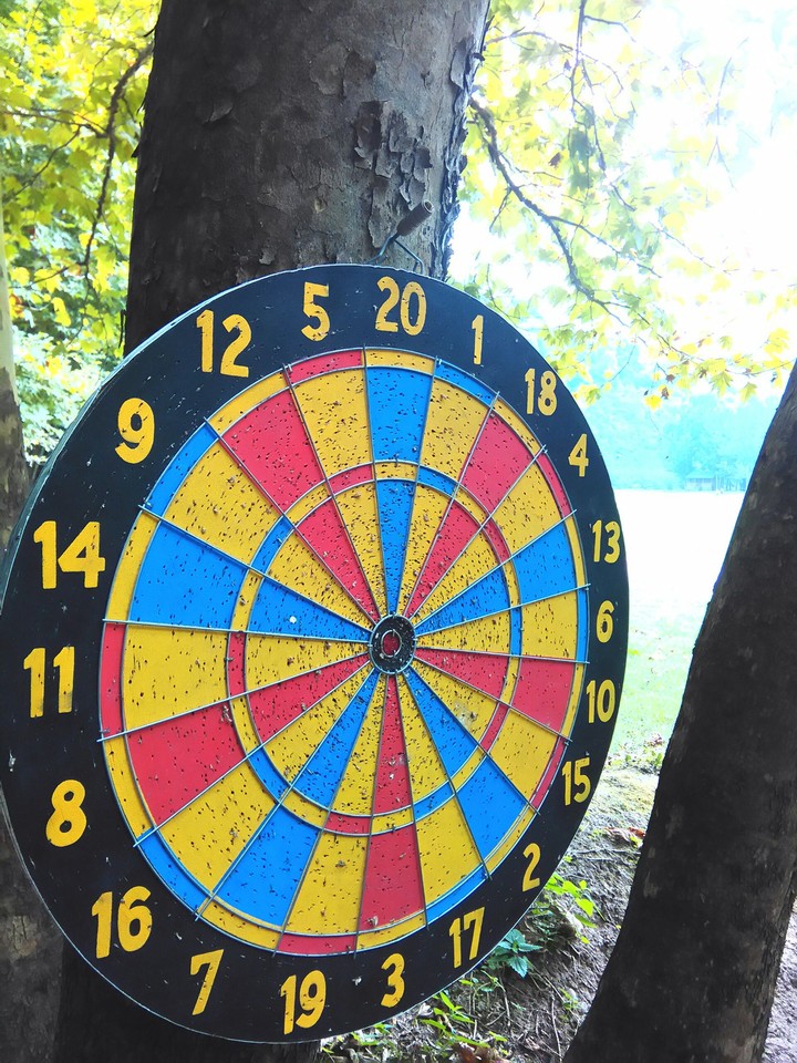 dart